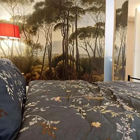 Tres Bel Rez De Jardin De 53m2. Apartment Pfastatt